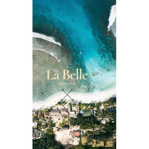 La Belle Hollow Trees