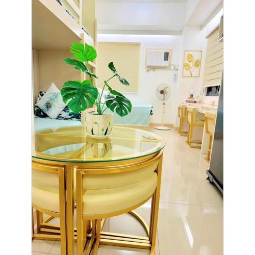 La Casandrei Smdc Green 2