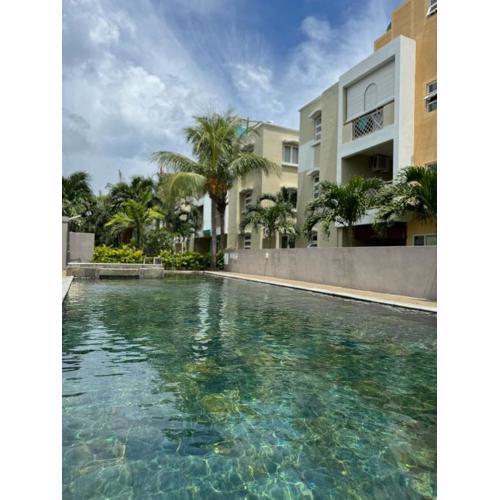 La Marquise - Coquillage