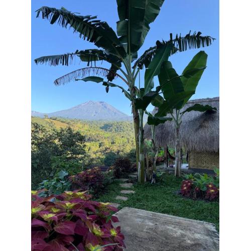 Laa Cabana Lombok Glamping