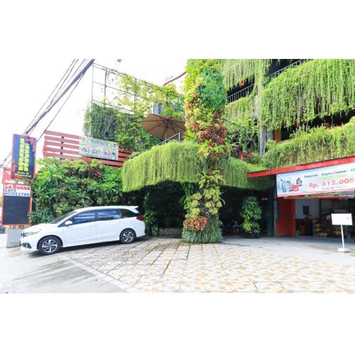 Labuana Homestay & Cafe Garden