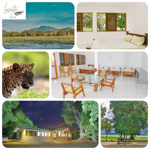 Lacoste By Yala Forest Bungalow