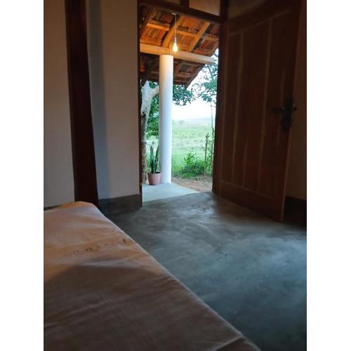 Lagoon Birds - Tangalle