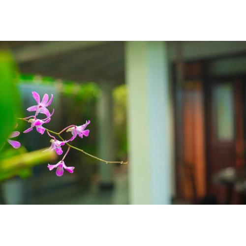 Laguna Sunset Lodge in Midigama