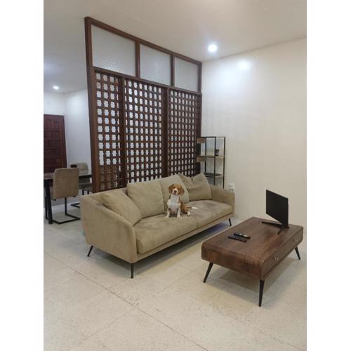 Laika the Beagle's Home away from Home - Clark