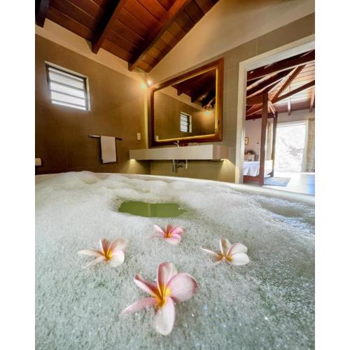Lakaz Kannell - Cinnamon Room- Luxury Bedroom and Bathroom infinity pool