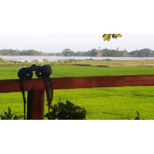 lake paradise cabana