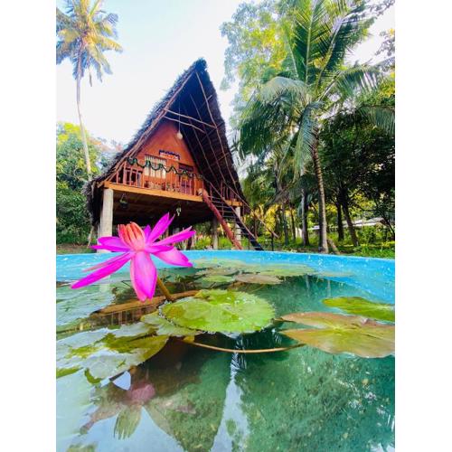 Lake side wood cabana