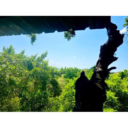 Lake Wind Resort & Restaurant