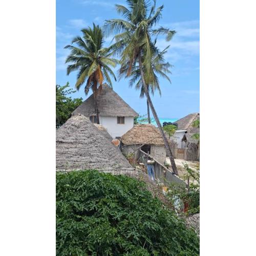 Lala House by Masala Living