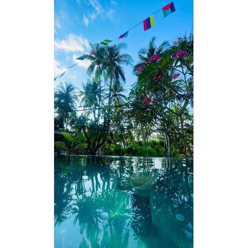 Lala Salama Backpacker