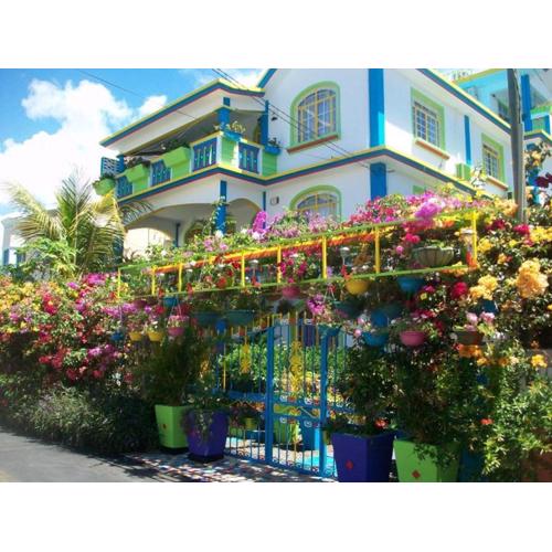 Lapiroguevilla (Tourist resident licence 03596)