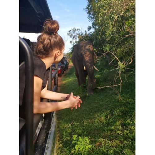 Lavender Home Yala Safari