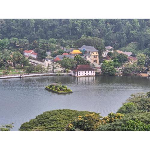 Lazy Bear Best Hostel in Kandy