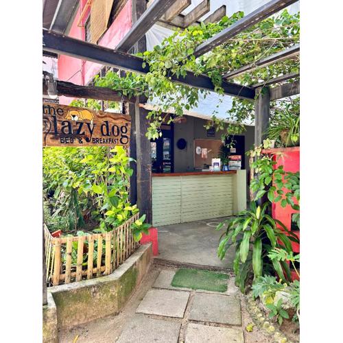 Lazy Dog Bed & Breakfast