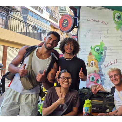 Lazy Gibbon 1 Chiang Mai - Tha Phae Gate