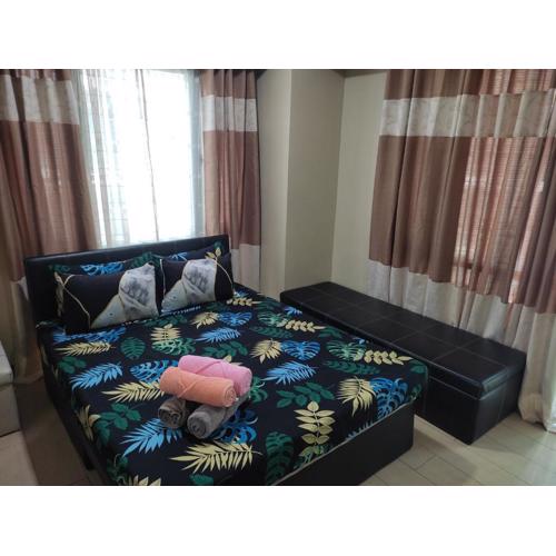 LDN Studio Unit Two Palm Tree