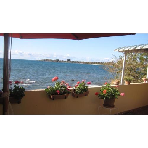 Le cactus guesthouse