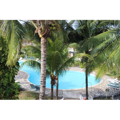 Le Dattier -dreambeach