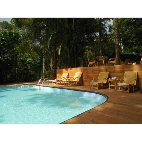 Le leopard d 'argent