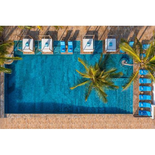 Le Mersenne Zanzibar, Autograph Collection