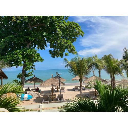 Le Petit Saint Tropez