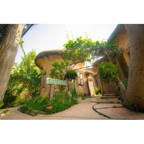 Leafy Greens Chiangmai