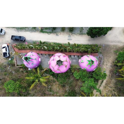 Leah's Crestview Farm Resort