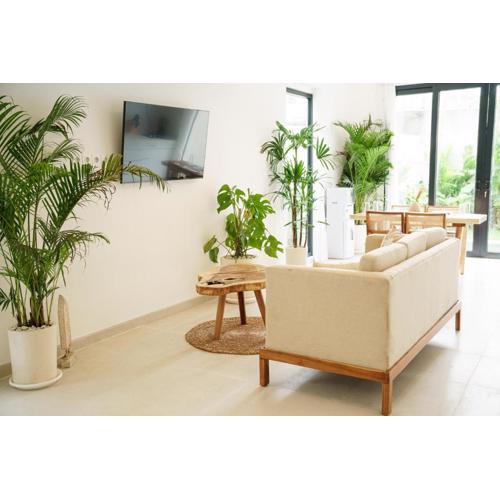 Leon's Villa - 2BR Villa in Berawa