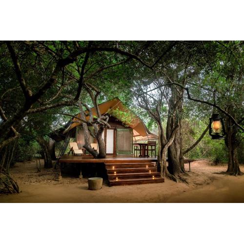 Leopard Reach Yala by Seven Angels