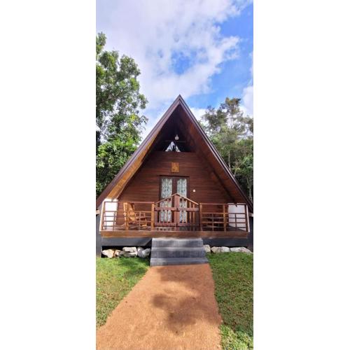 Lion King Jungle Cabanas