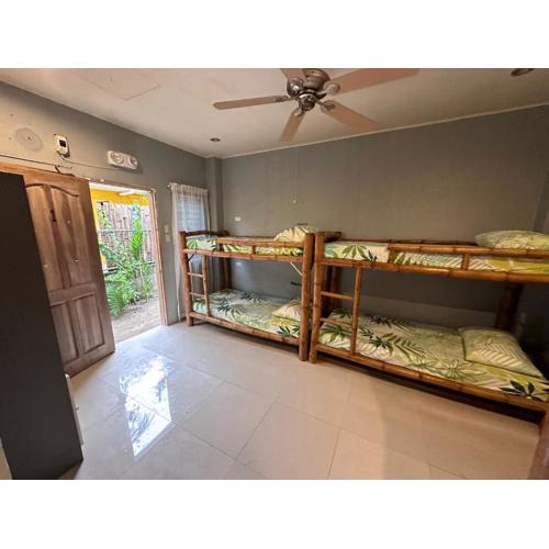 Lionfish Backpackers Hostel Malapascua