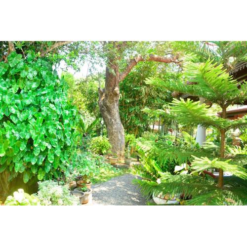 Livinginn Polonnaruwa