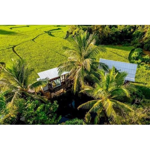 ต้งโฮมสเตย์ กลางทุ่งนา Local Homestay and View