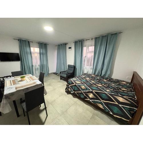 Location appartement meublé 31 m2 Albion