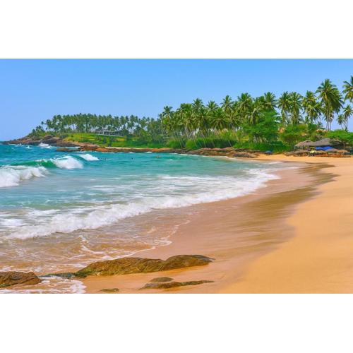 Lofty House Seaside Modern Entire Villa