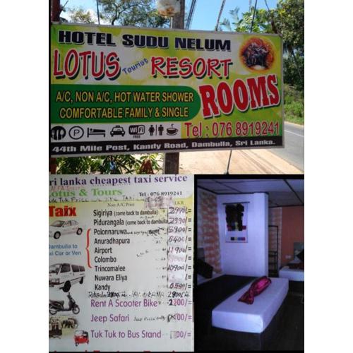 Lotus Inn Tourist Resort