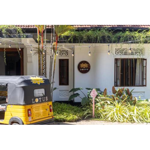 Lotus Surf And Wellness