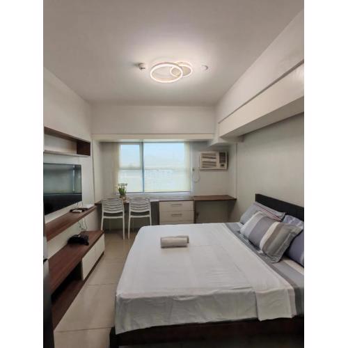 Lourdes Bedsit Horizon 101