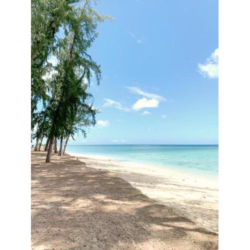 Lovely beachfront boutique apartment