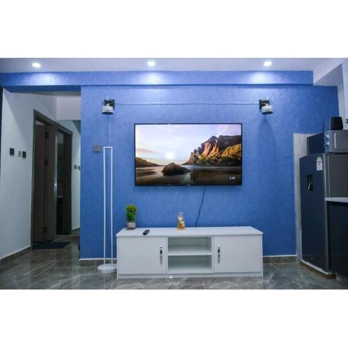 Lovely instantworthy Premier One Bedroom Apartment