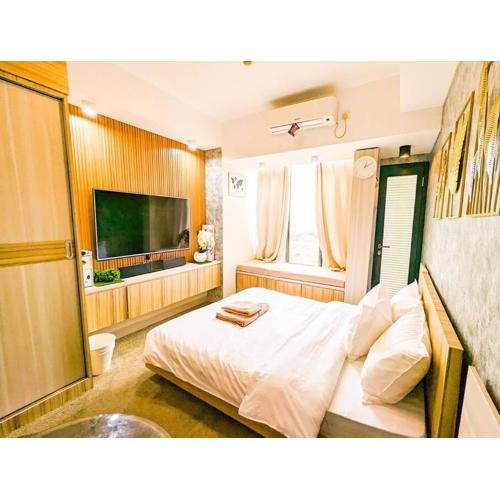 Lovina 1509 at Pollux Meisterstadt