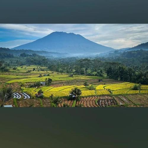 Lumbung ayu sari and spa