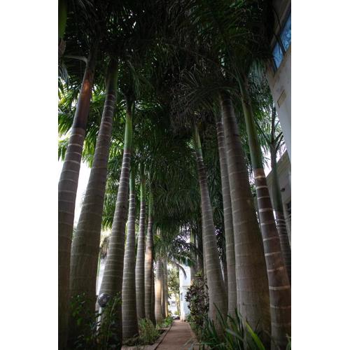 Lush Air Bnbs in Karen