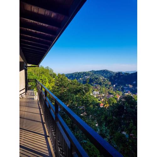 Lush Breeze Mount View