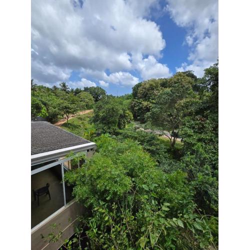 Lush Lakeside Nature's Nook