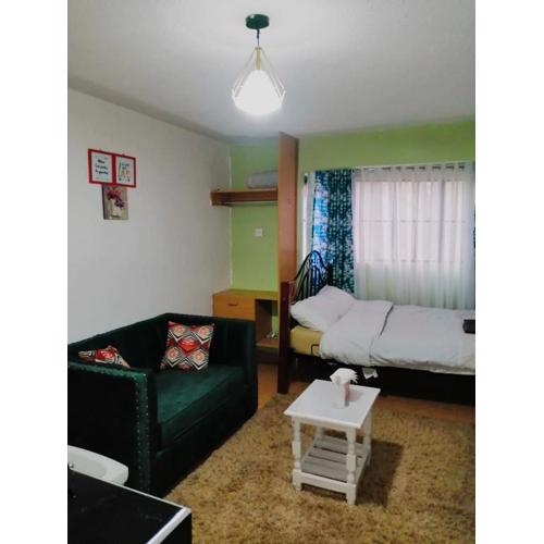 Lux Suites Lumumba Drive Studio Apartments