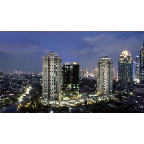 luxery 1 bedroom batavia tower 2