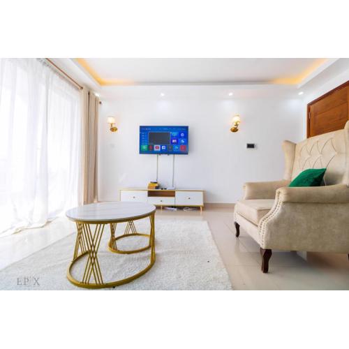 luxurious fully furnished two bedroom apartment with swimming fully equipped gym ample parking space children playing ground and a relaxing rooftop with amazing city views