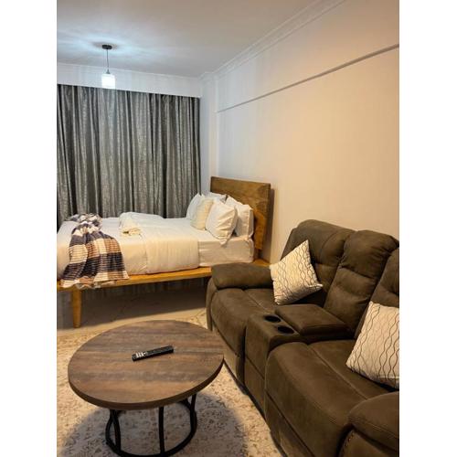 Luxurious Studio Apartment